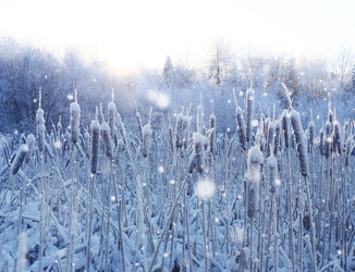 Similar image 10508229