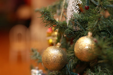 Similar image 10508232