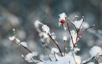 Similar image 10508235