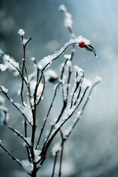 Similar image 10508237