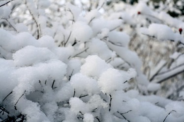 Similar image 10508241