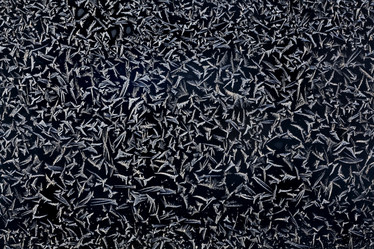 Similar image 10508252