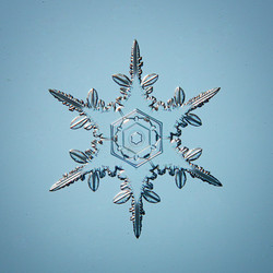 Similar image 10508264