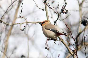 Similar image 10508282