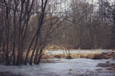 Similar image 10508289