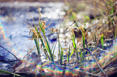 Similar image 10508291