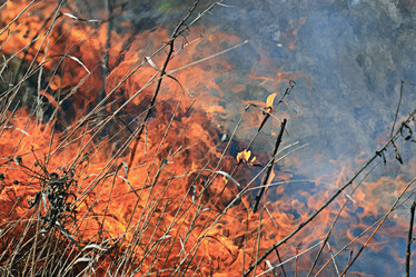 Similar image 10508296