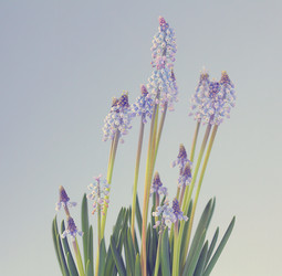 Similar image 10508322