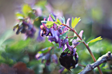 Similar image 10508323