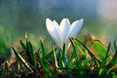 Similar image 10508332