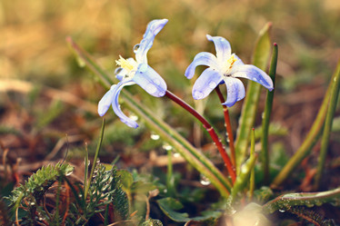 Similar image 10508334