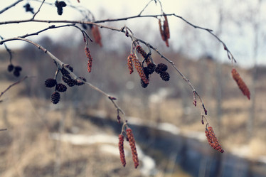 Similar image 10508335