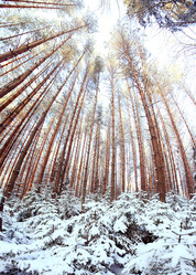 Similar image 10508351