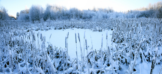 Similar image 10508353