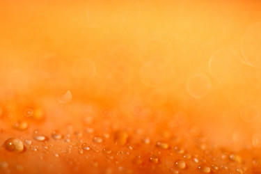 Similar image 10508354