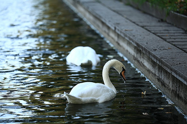 Similar image 10508355