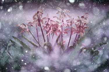 Similar image 10508357