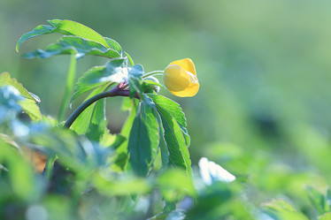 Similar image 10508368