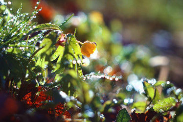 Similar image 10508375