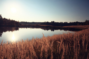 Similar image 10508384