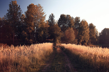 Similar image 10508390