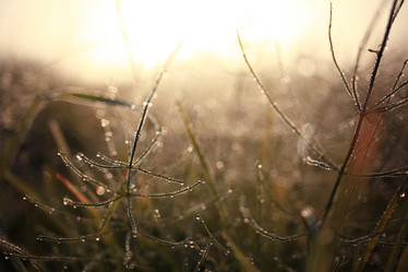 Similar image 10508397