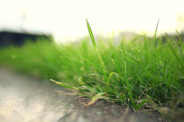 Similar image 10508418