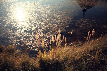 Similar image 10508424