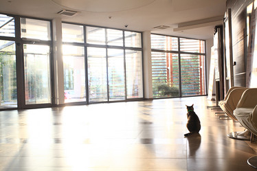 Similar image 10508431