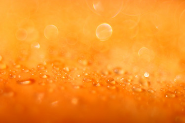 Similar image 10508448