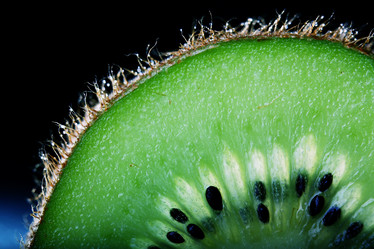 Similar image 10508449