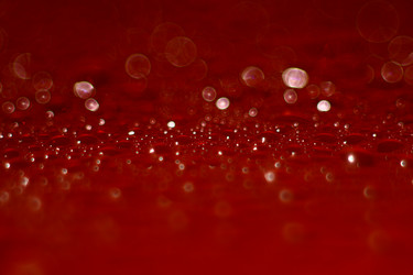 Similar image 10508450