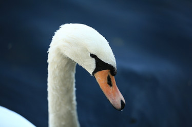 Similar image 10508451