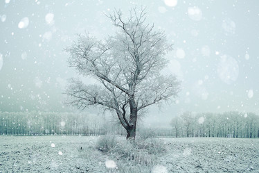 Similar image 10508506