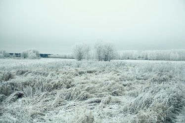 Similar image 10508508