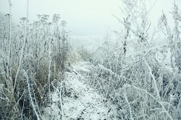 Similar image 10508510