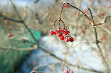 Similar image 10508523