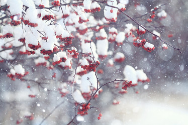 Similar image 10508526