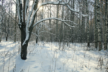 Similar image 10508528