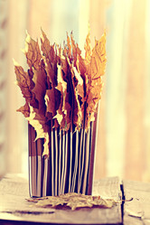 Similar image 10508529