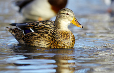 Similar image 10508542