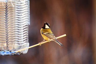 Similar image 10508544