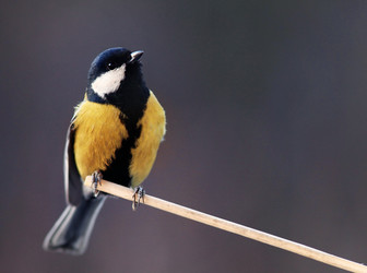 Similar image 10508545