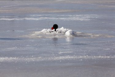 Similar image 10508552