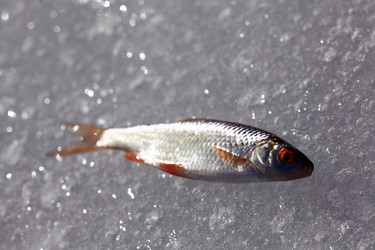 Similar image 10508553