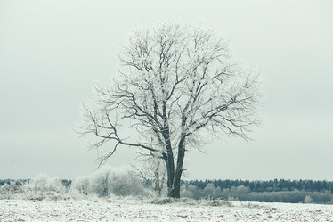 Similar image 10508567