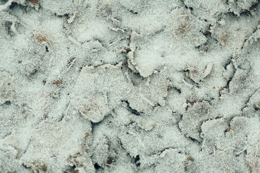 Similar image 10508568