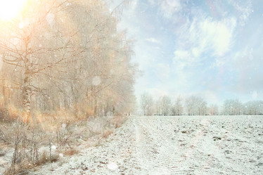 Similar image 10508569