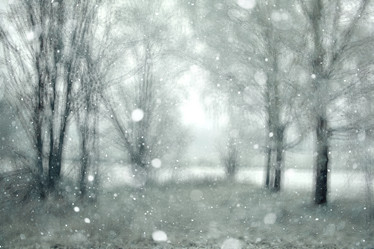 Similar image 10508570