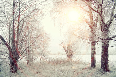 Similar image 10508571